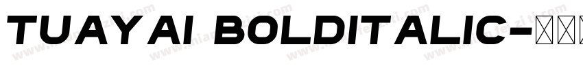 tuayai BoldItalic字体转换